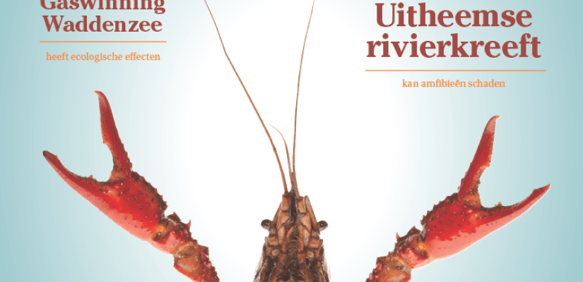 De Levende Natuur nummer 1 van 2025 (English summary) | De Levende Natuur